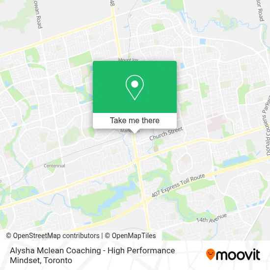 Alysha Mclean Coaching - High Performance Mindset map