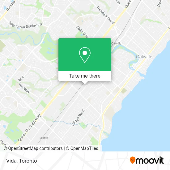 Vida map