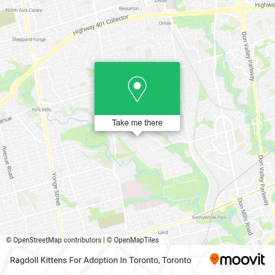 Ragdoll Kittens For Adoption In Toronto map