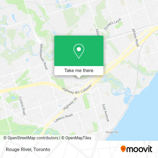 Rouge River plan