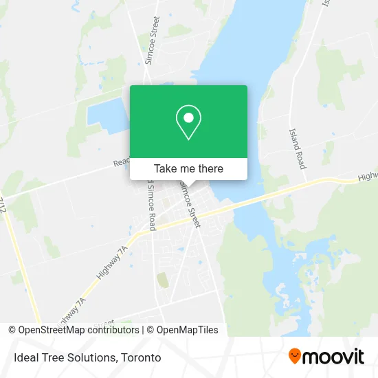 Ideal Tree Solutions map