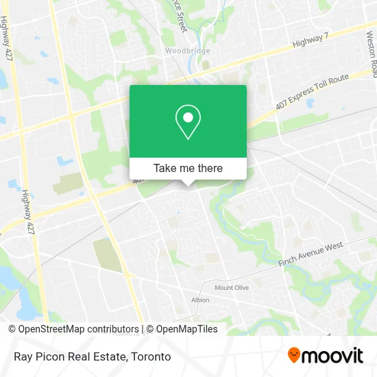 Ray Picon Real Estate map
