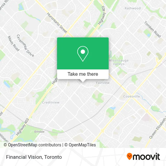 Financial Vision map