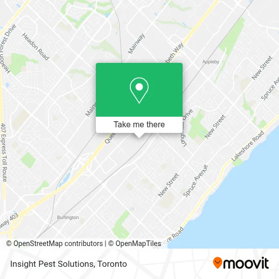 Insight Pest Solutions plan