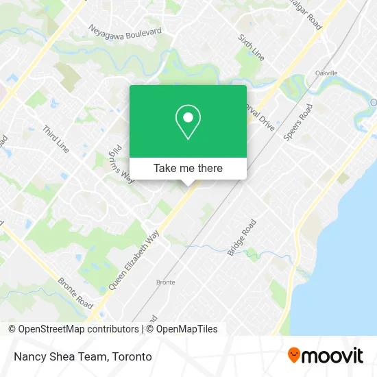 Nancy Shea Team map
