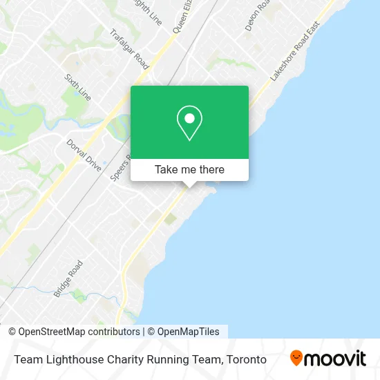 Team Lighthouse Charity Running Team plan