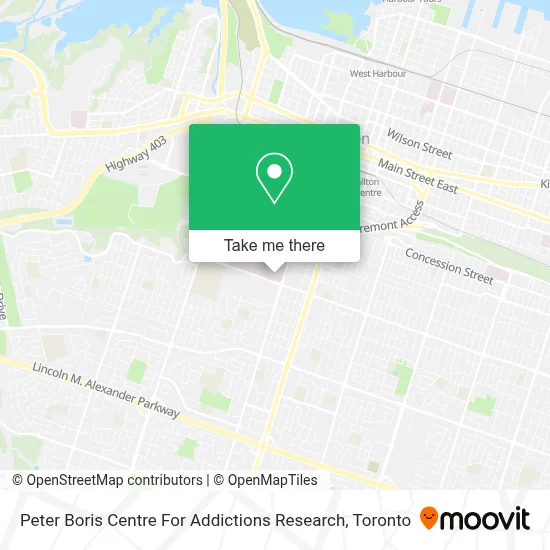 Peter Boris Centre For Addictions Research map