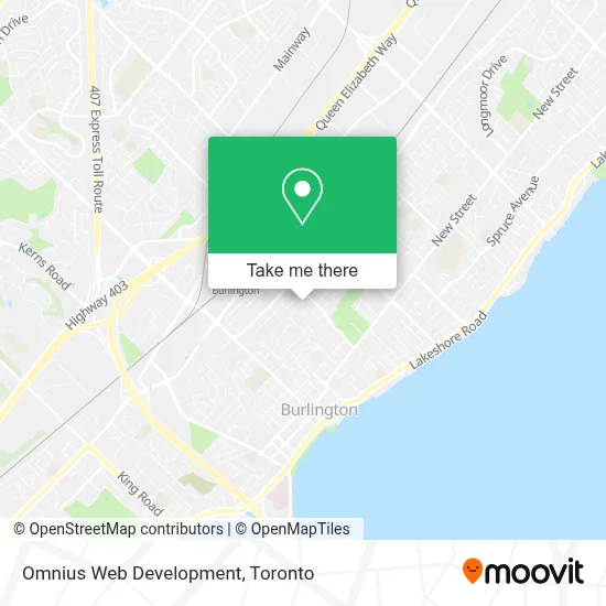 Omnius Web Development map