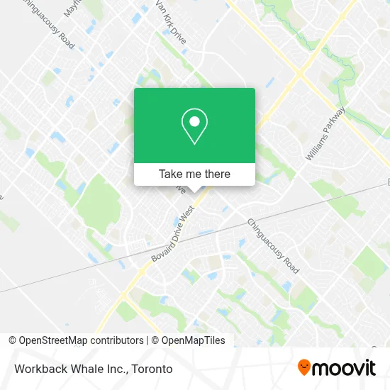 Workback Whale Inc. map