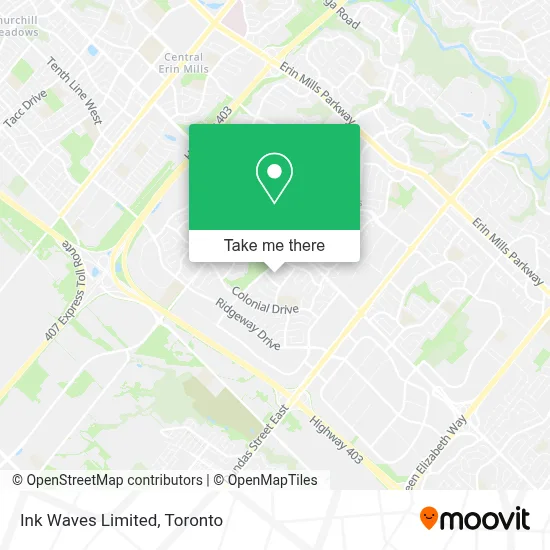 Ink Waves Limited plan