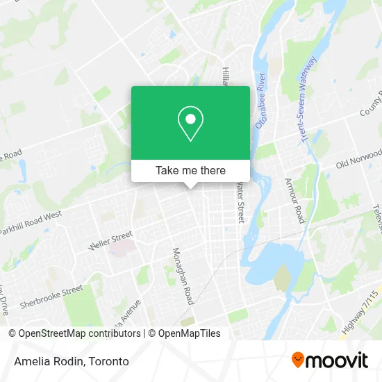 Amelia Rodin map