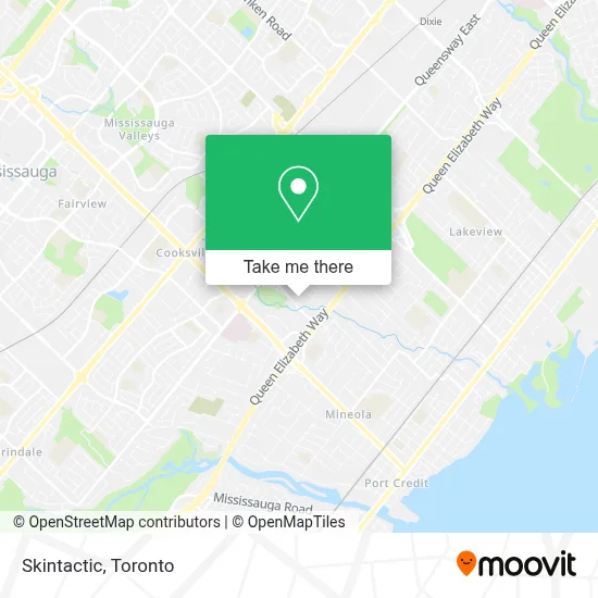 Skintactic map