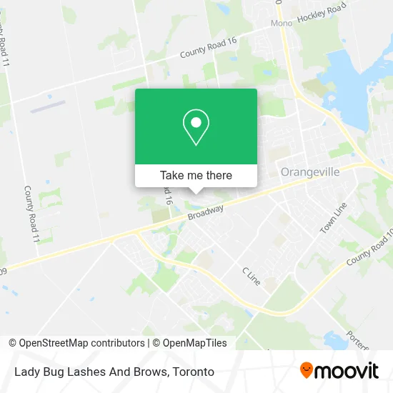 Lady Bug Lashes And Brows map