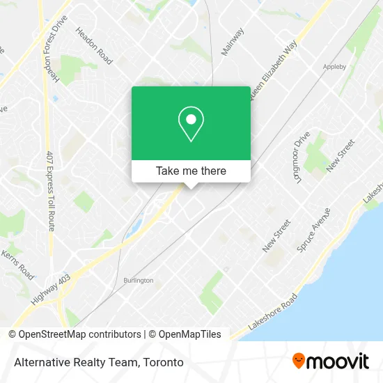 Alternative Realty Team map