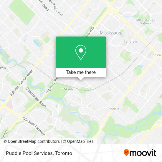 Puddle Pool Services map