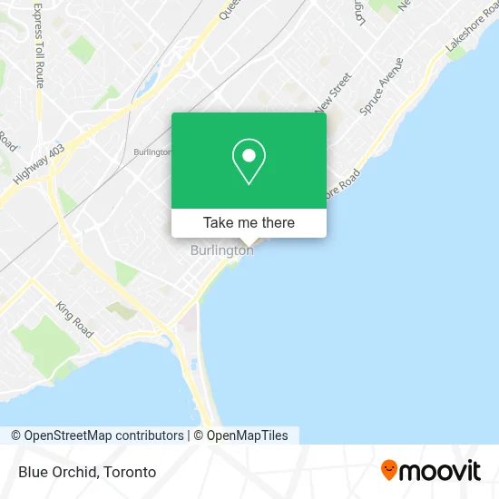 Blue Orchid map