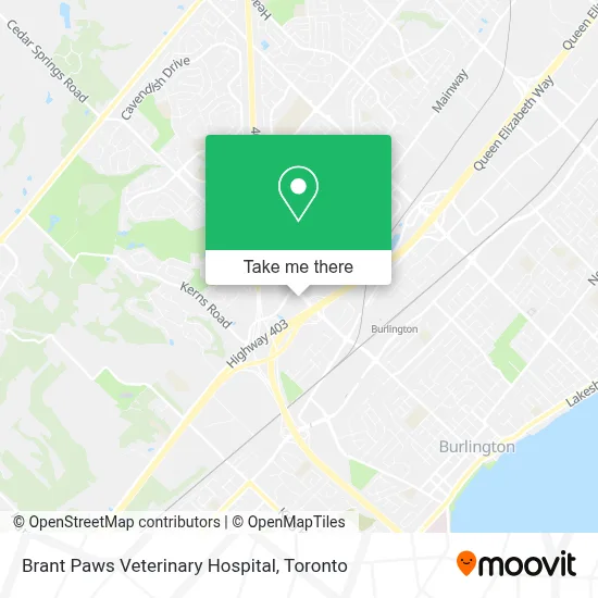 Brant Paws Veterinary Hospital map