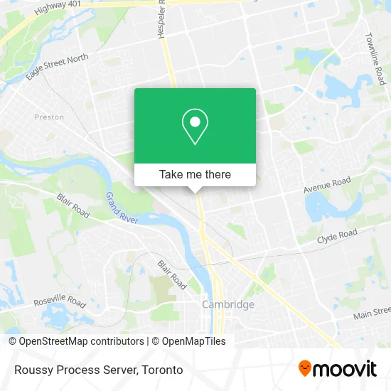 Roussy Process Server plan