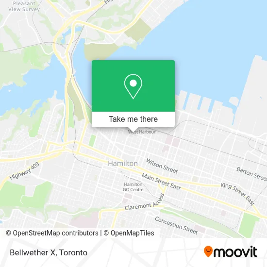 Bellwether X map