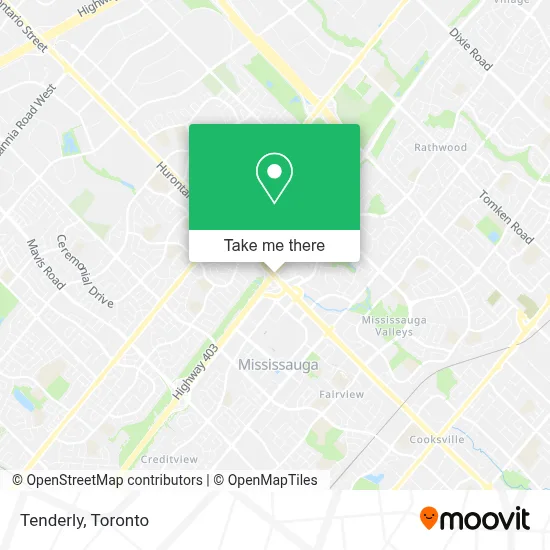 Tenderly map