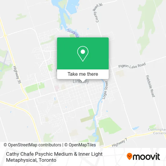 Cathy Chafe Psychic Medium & Inner Light Metaphysical map