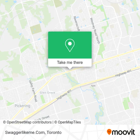 Swaggerlikeme.Com plan