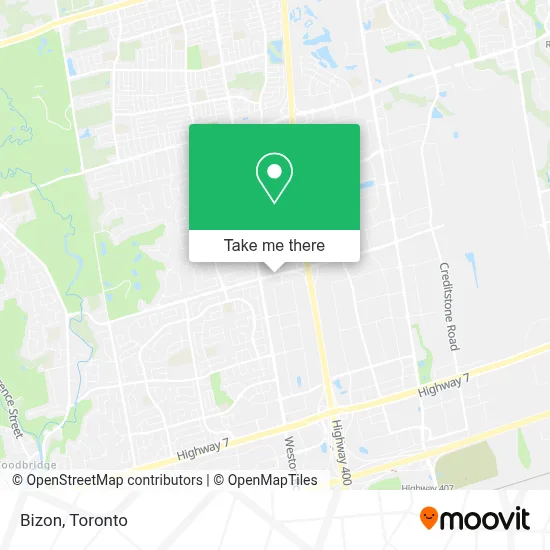 Bizon map