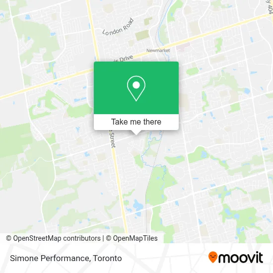 Simone Performance plan