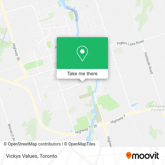 Vickys Values map