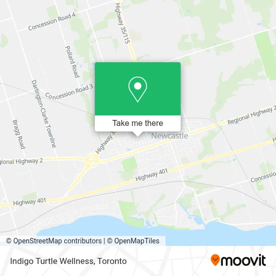 Indigo Turtle Wellness map