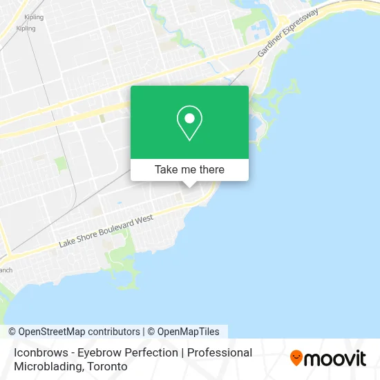 Iconbrows - Eyebrow Perfection | Professional Microblading plan