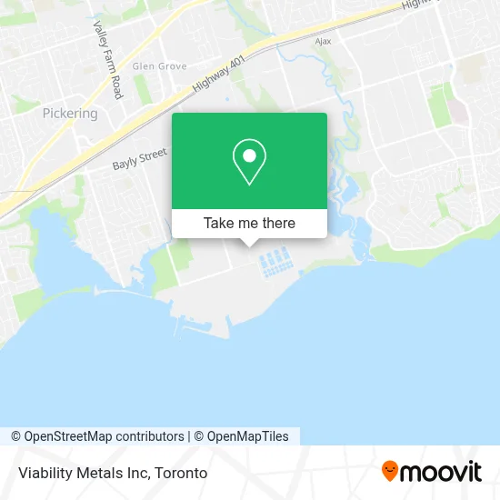 Viability Metals Inc map