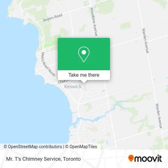 Mr. T's Chimney Service plan