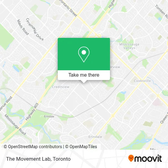 The Movement Lab plan