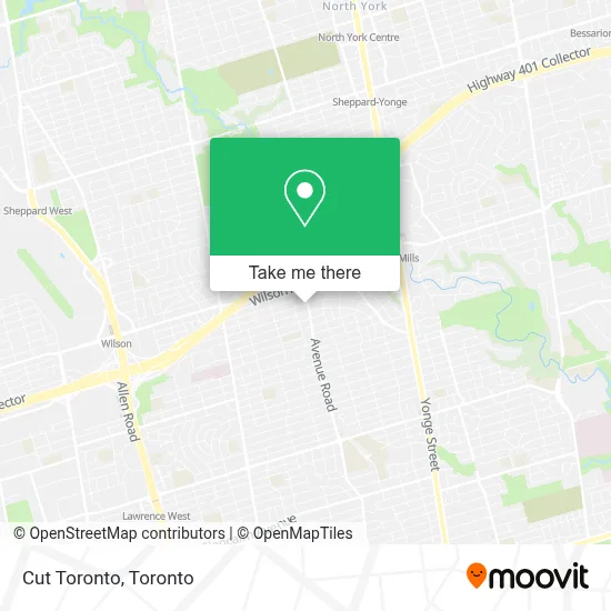 Cut Toronto map