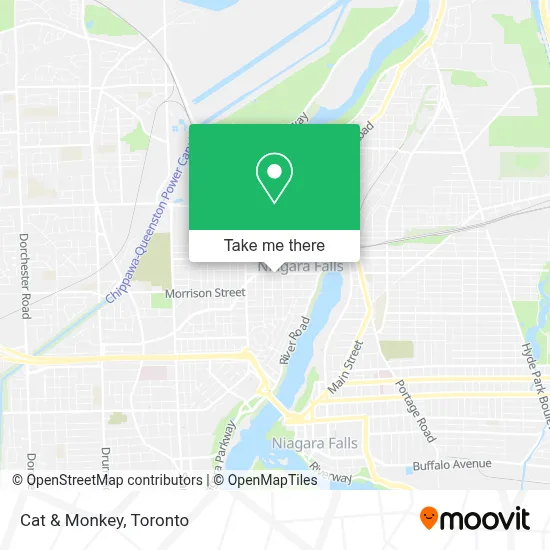 Cat & Monkey map