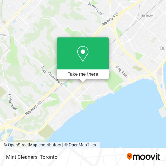 Mint Cleaners map