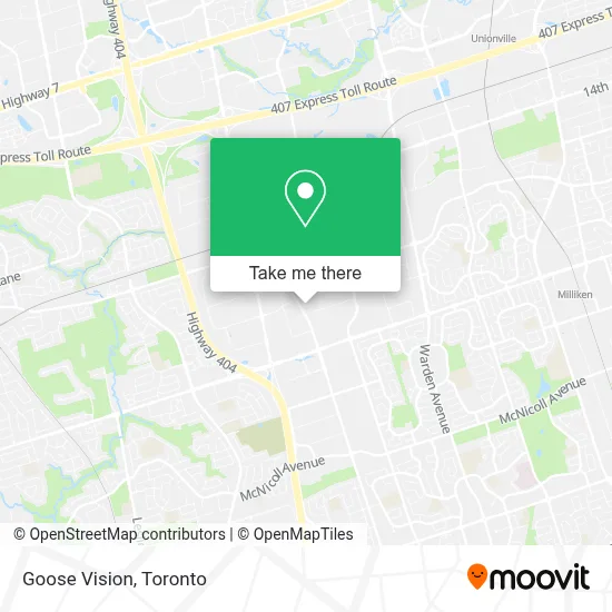 Goose Vision map