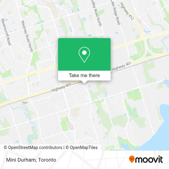 Mini Durham map