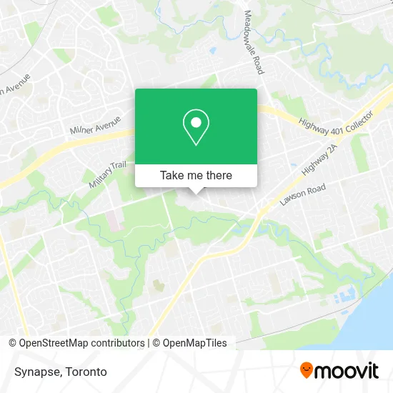 Synapse map