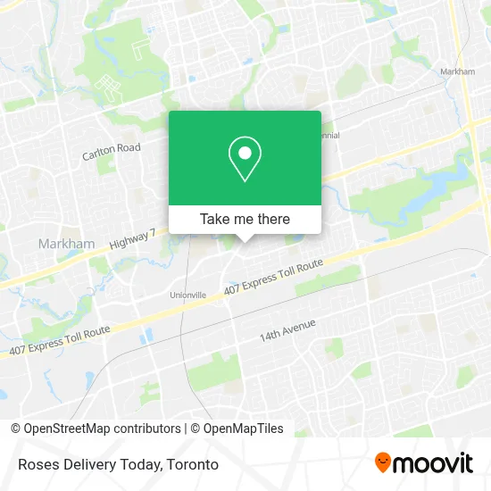 Roses Delivery Today plan