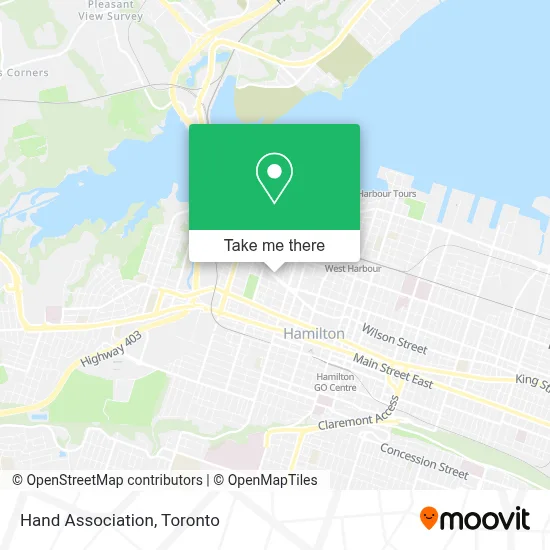 Hand Association map