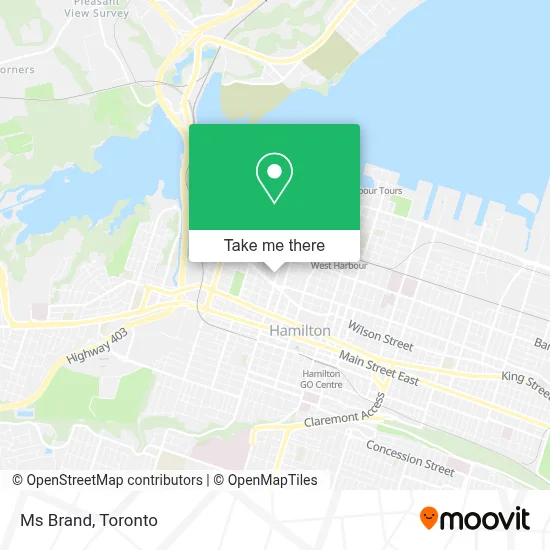 Ms Brand map