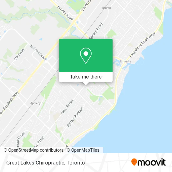 Great Lakes Chiropractic map