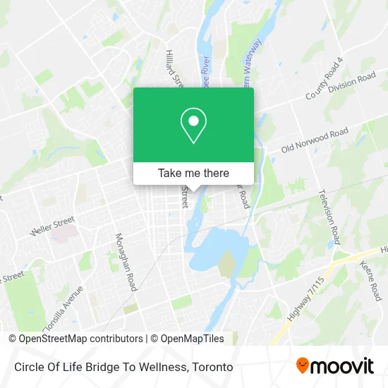 Circle Of Life Bridge To Wellness map