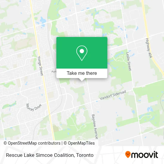 Rescue Lake Simcoe Coalition plan