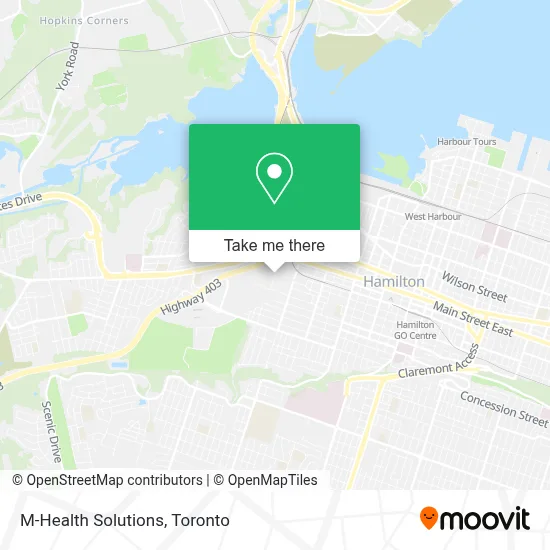 M-Health Solutions map