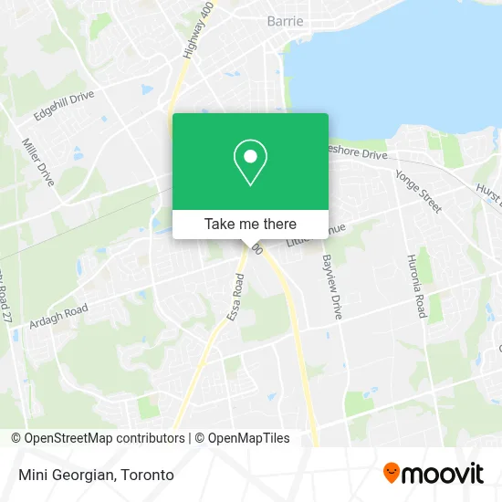 Mini Georgian map