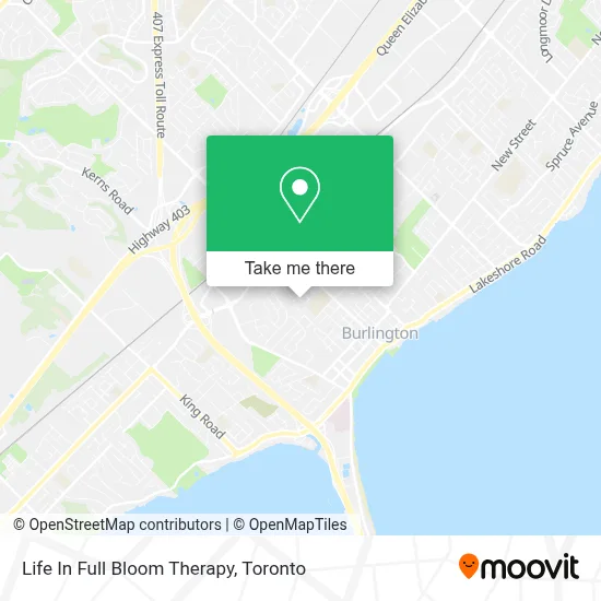 Life In Full Bloom Therapy map