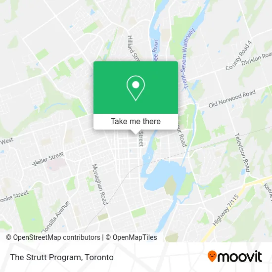 The Strutt Program plan